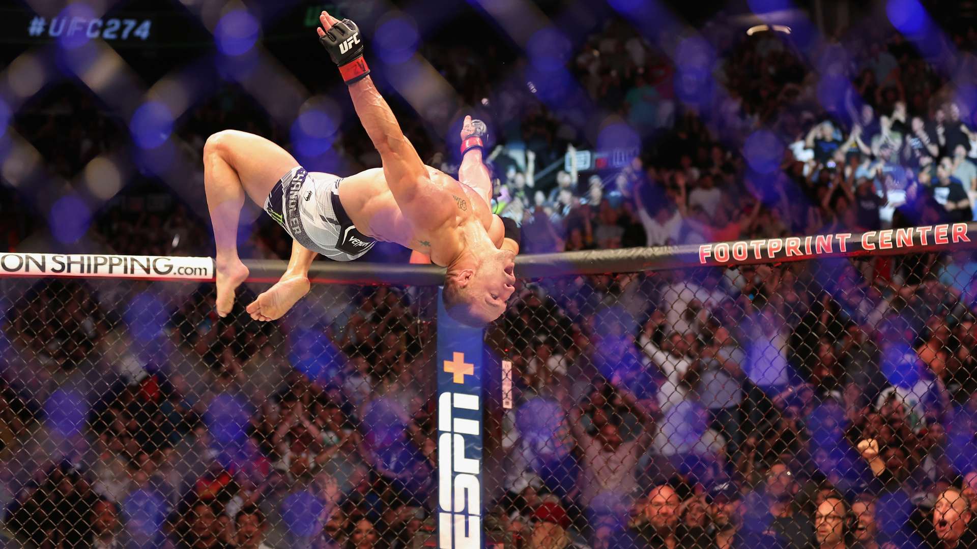 阿尔特塔也 阿尔特塔也