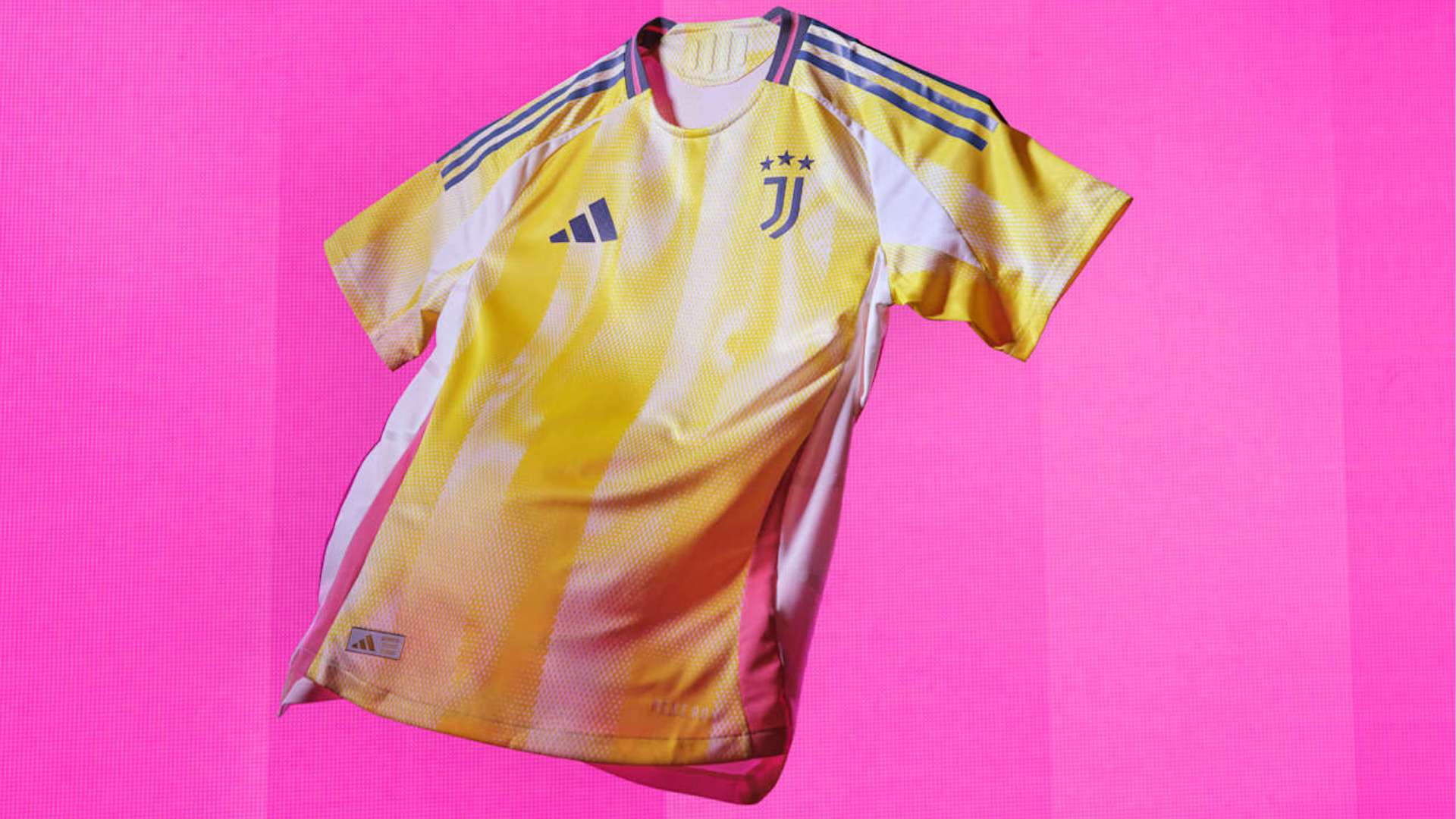 仅是一粒进 仅是一粒进